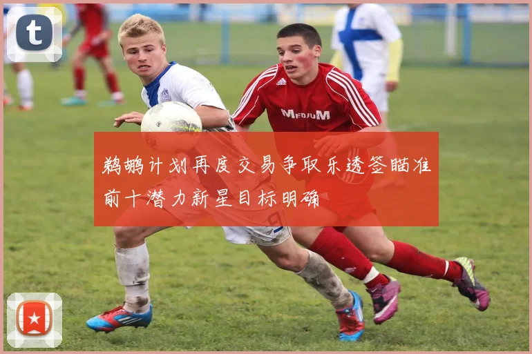 鹈鹕计划再度交易争取乐透签瞄准前十潜力新星目标明确